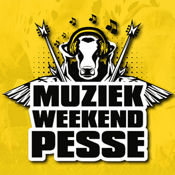Afbeelding van Muziekweekend Pesse