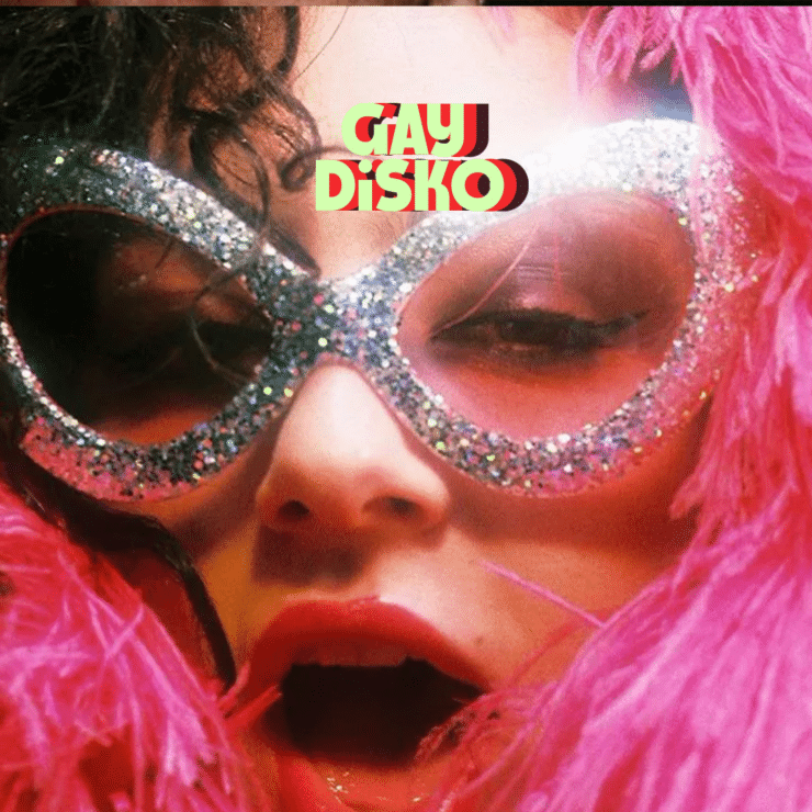 Gay Disko